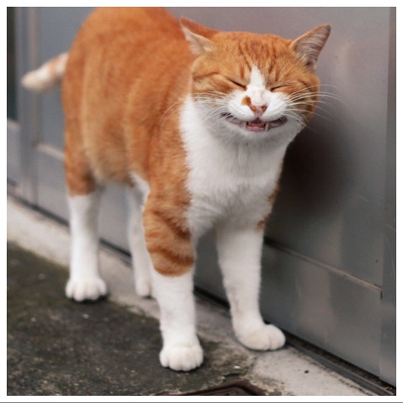 Ooh, ooh, ooh, ooh
Ooh, ooh, ooh, ooh - Picture 1 of 8